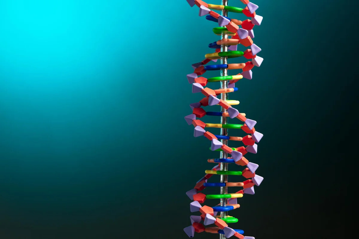 dna-test-quiz