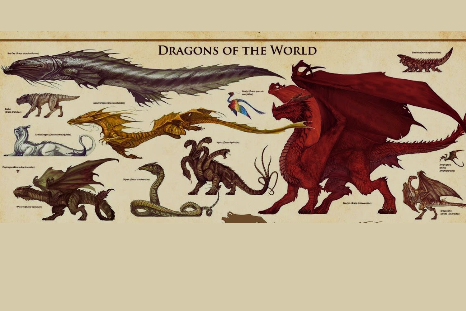 dragon-breed-quiz