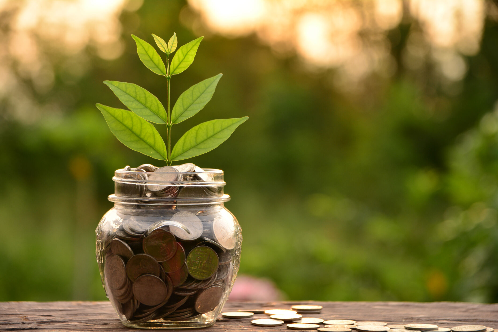 financial-wellness-quiz